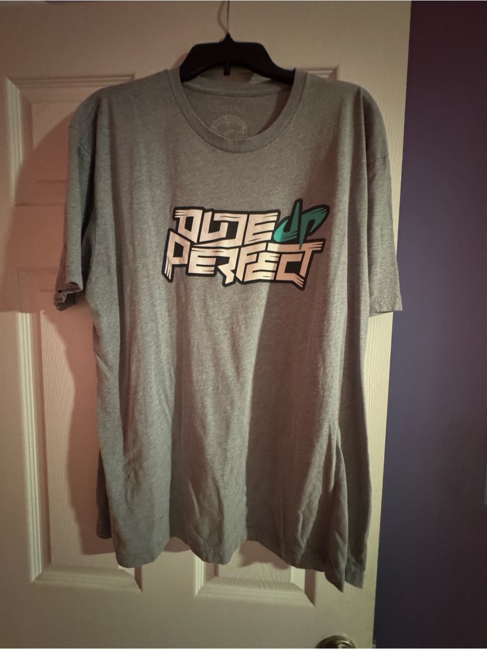 Edge Up Perfect Men's Gray Graphic Tee with Green Accent